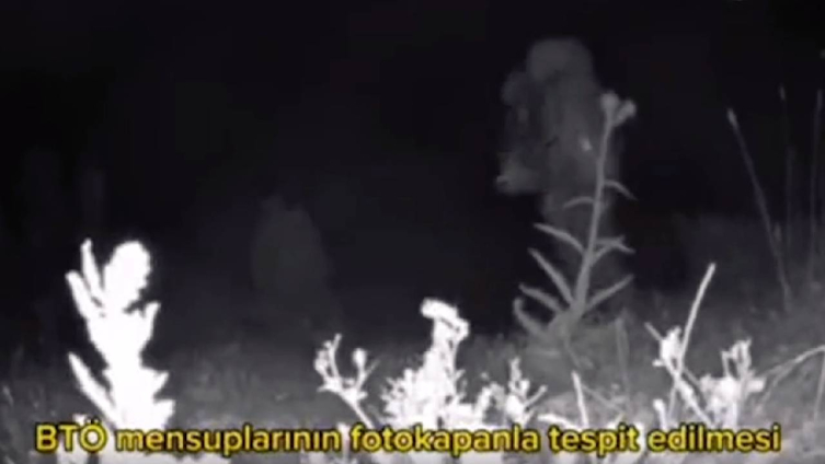 Kırmızı ve gri kategorilerde aranan 2 terörist etkisiz hale getirildi